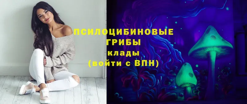 Галлюциногенные грибы Psilocybe  гидра как войти  Иланский 